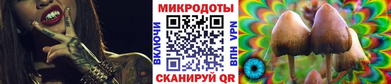 даркнет сайт  Чапаевск  Псилоцибиновые грибы GOLDEN TEACHER 